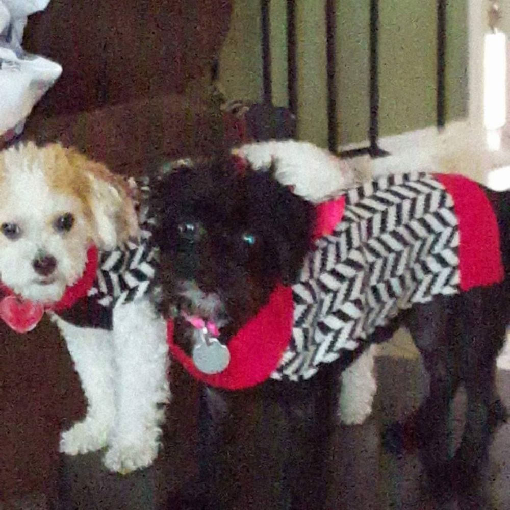 Meet your Posher, Jailene